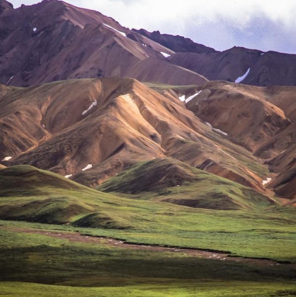 polychrome pass denali national park mountains